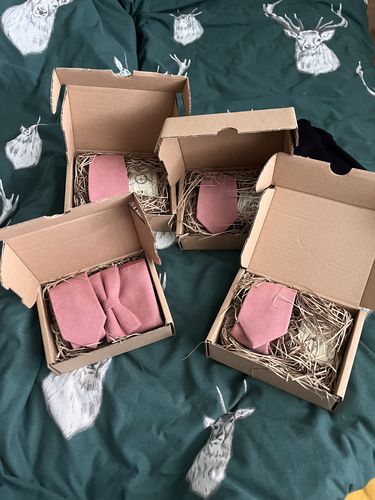 Customer photo review of TED: Blush Mens Ties, Dusty Rose Ties,Ties for Men, Gifts for Men, Wedding Dress, Wedding Attire, Groomsmen Gifts, Wool Tie, Pocket Square