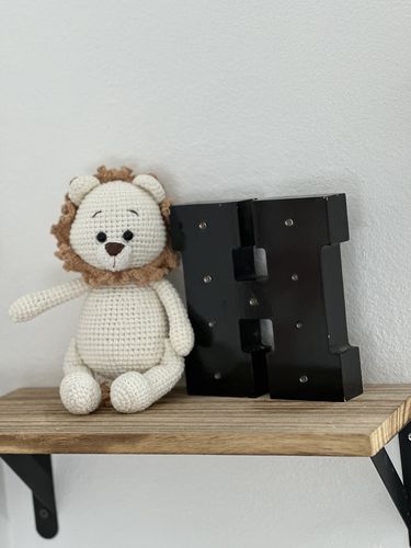 Customer photo review of Lio the Lion