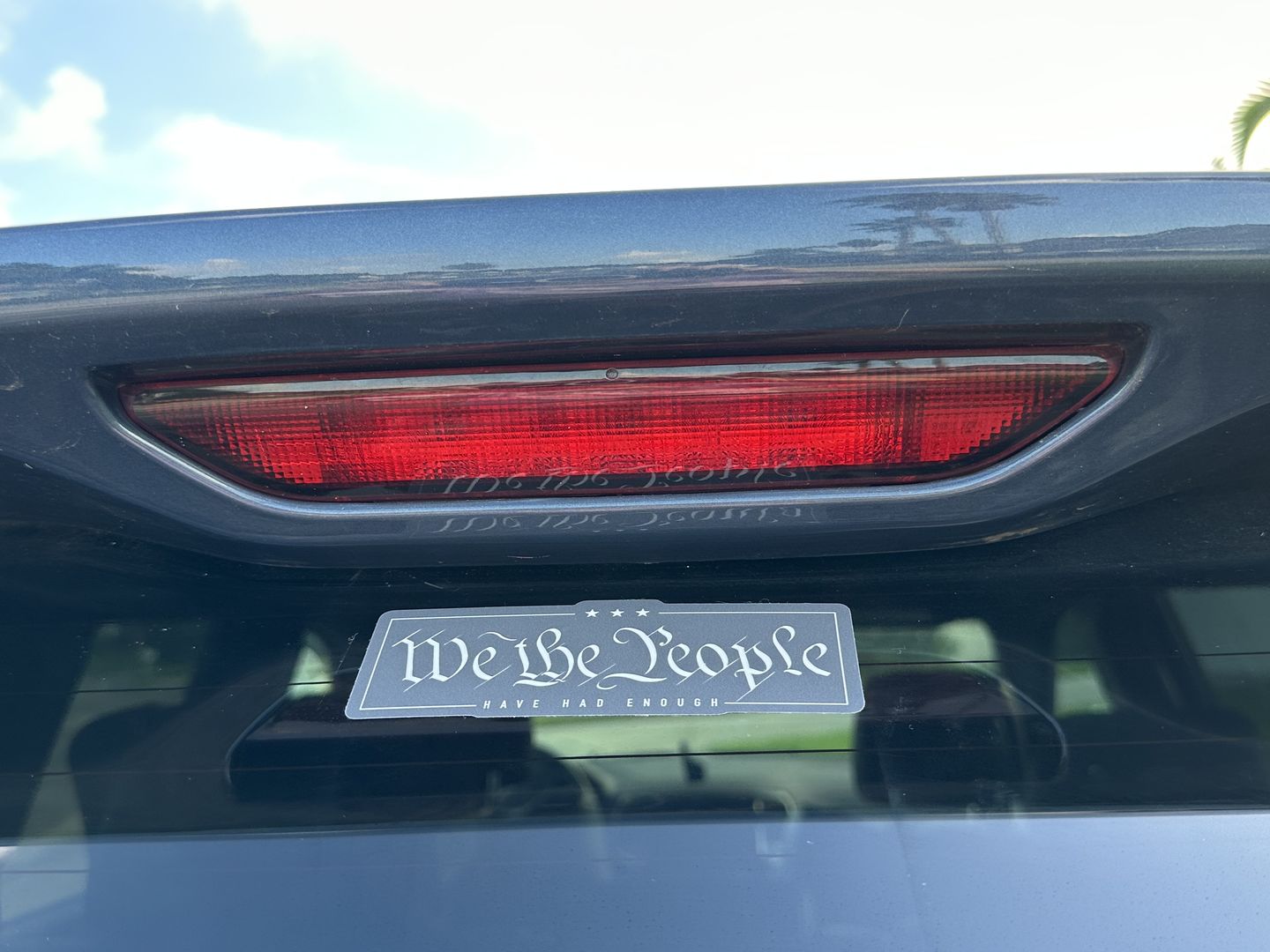 Customer photo review of We the People Decal