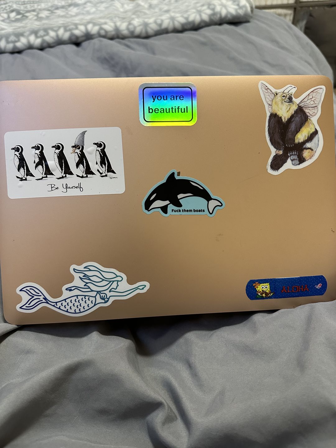 Customer photo review of F*** Them Boats Orca Sticker