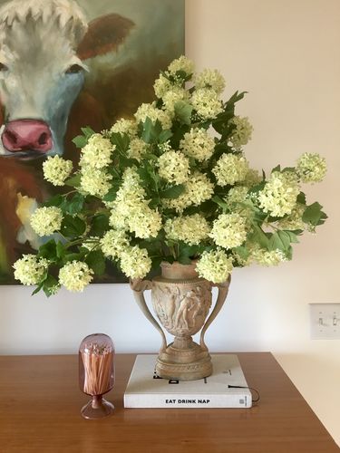 Customer photo review of Bulk 31" Faux Hydrangea Long Stem Plants Flowers Silk Artificial Wholesale
