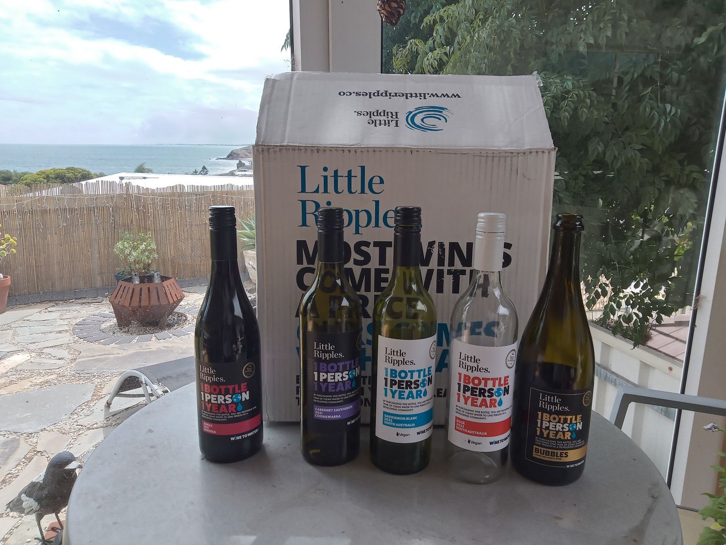 Customer photo review of Party Sampler - NEW