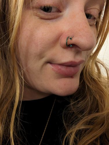 Customer photo review of Anodized Emerald Green Micro Gem Nose Hoop