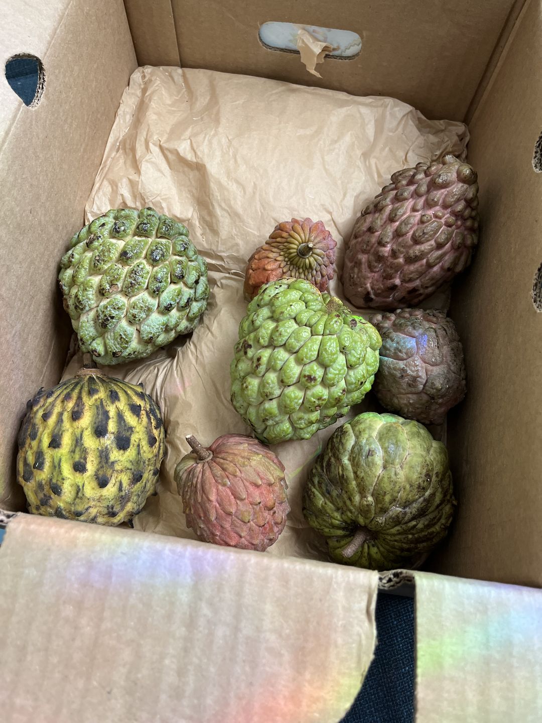 Customer photo review of Annona Variety Box *Pre-Order*