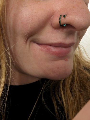 Customer photo review of Double Gem Internally Threaded Horseshoe 18g