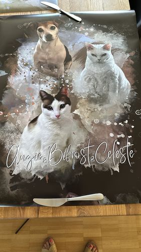 Customer photo review of Aquarell Pawtrait
