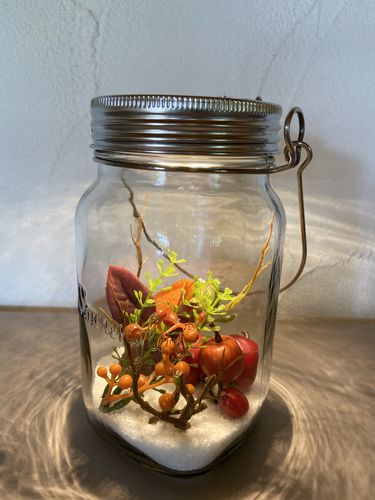 Customer photo review of SONNENGLAS Solarlaterne SOMO (Gen.6) / 1L