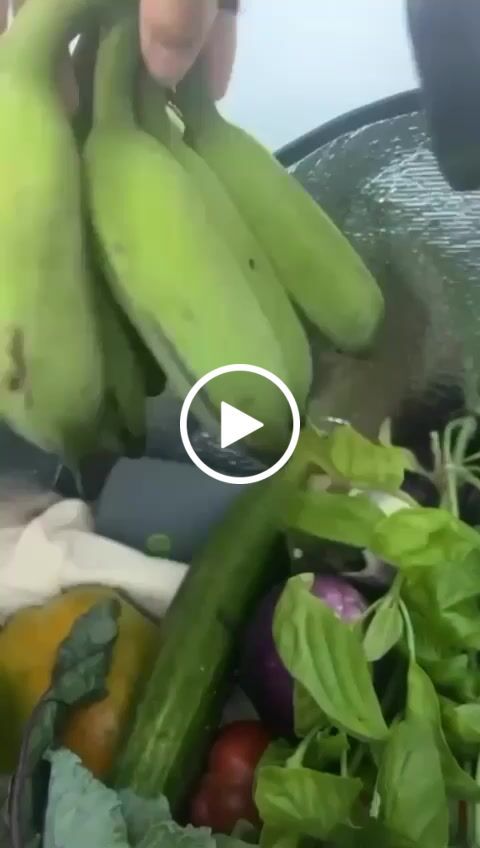 Customer video review of "Plum" (Medium) Tote Bag, Fruit & Veggie Mix