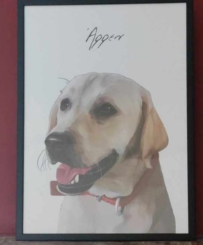 Customer photo review of Πορτραίτο Κατοικίδιου - Πόστερ με κάδρο