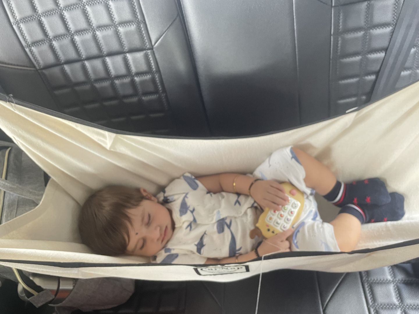 Customer photo review of CarNap - Portable Car Hammock for 0 to 3 year baby | with Adjustable Belt, Hammock Cloth, Hangers and Carry Bag