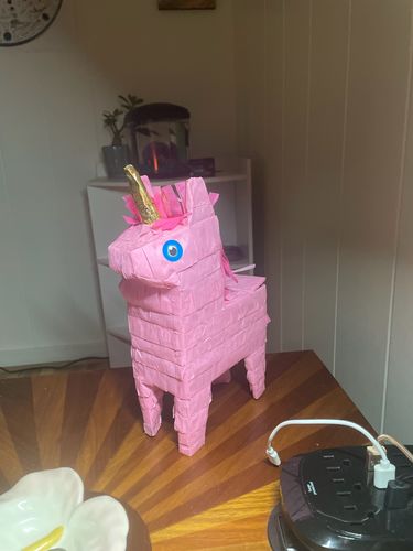 Customer photo review of Magical Birthday Piñatagram