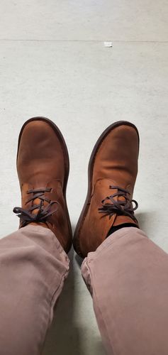 Customer photo review of Zapato Vasco