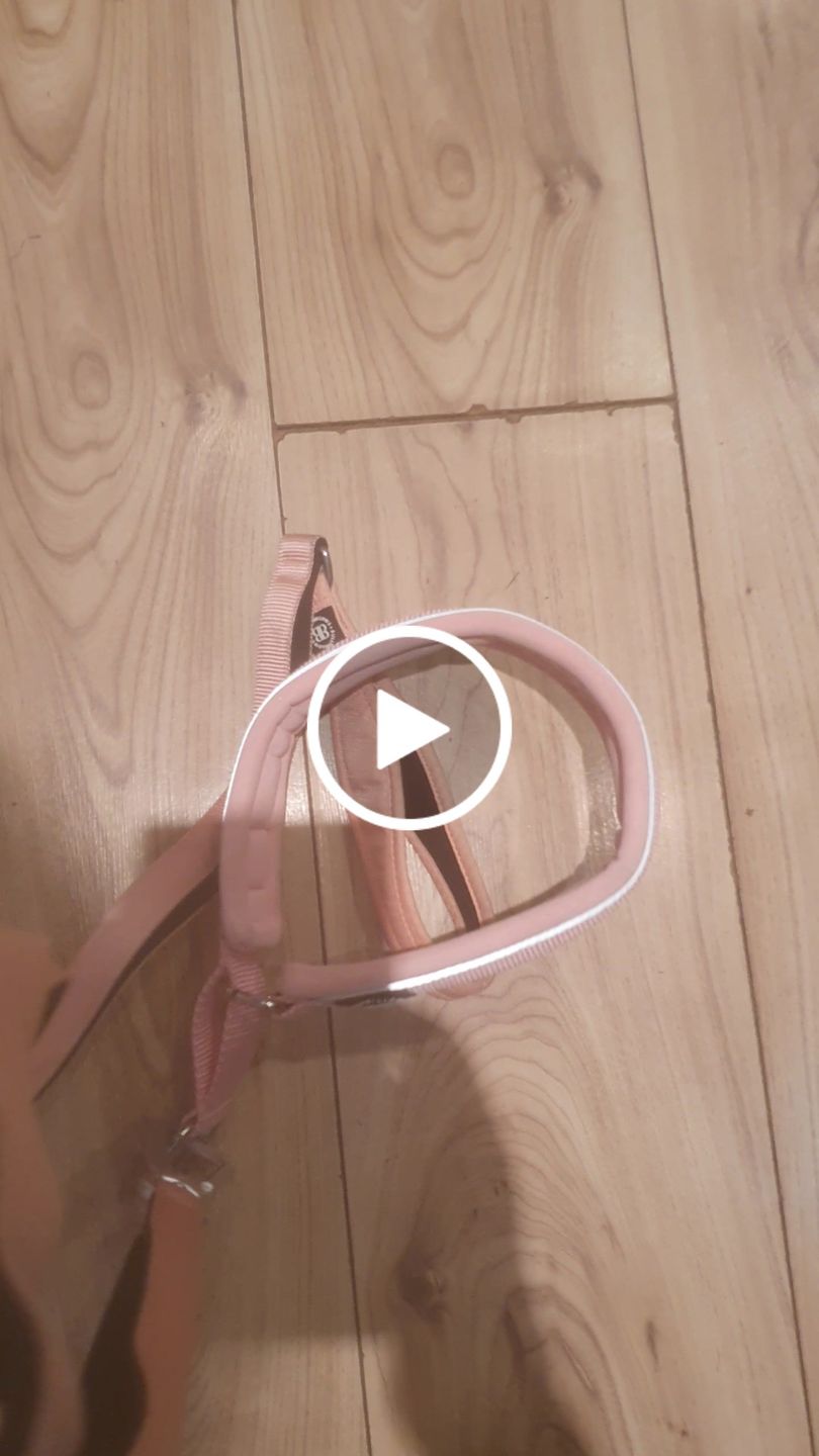 Customer video review of Ladder Lead - Multiple Handles During Walks - Pink