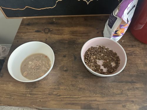 Customer photo review of Salmon Flaked Dinner In Broth Adult Cat Food, 2.8-oz, Case of 12