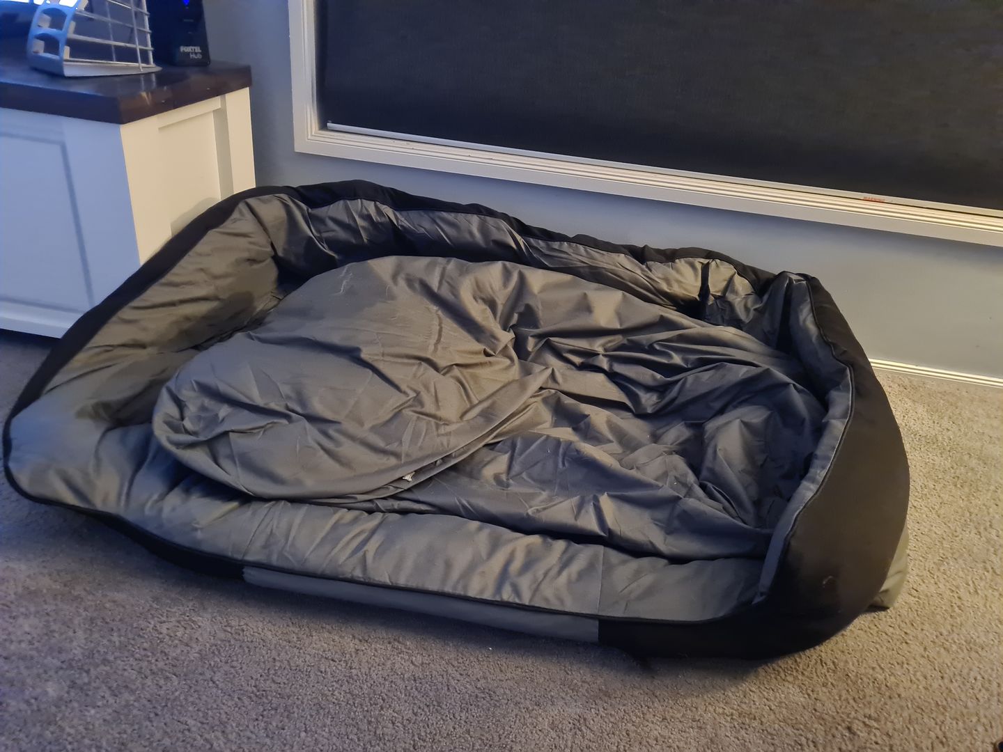Customer photo review of PaWz waterproof heavy-duty bed