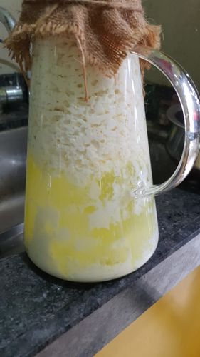 Milk kefir in everyday life