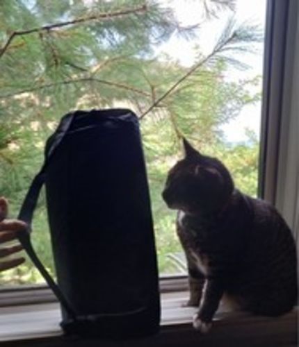 Customer photo review of Nailbed | Akupressurmatte