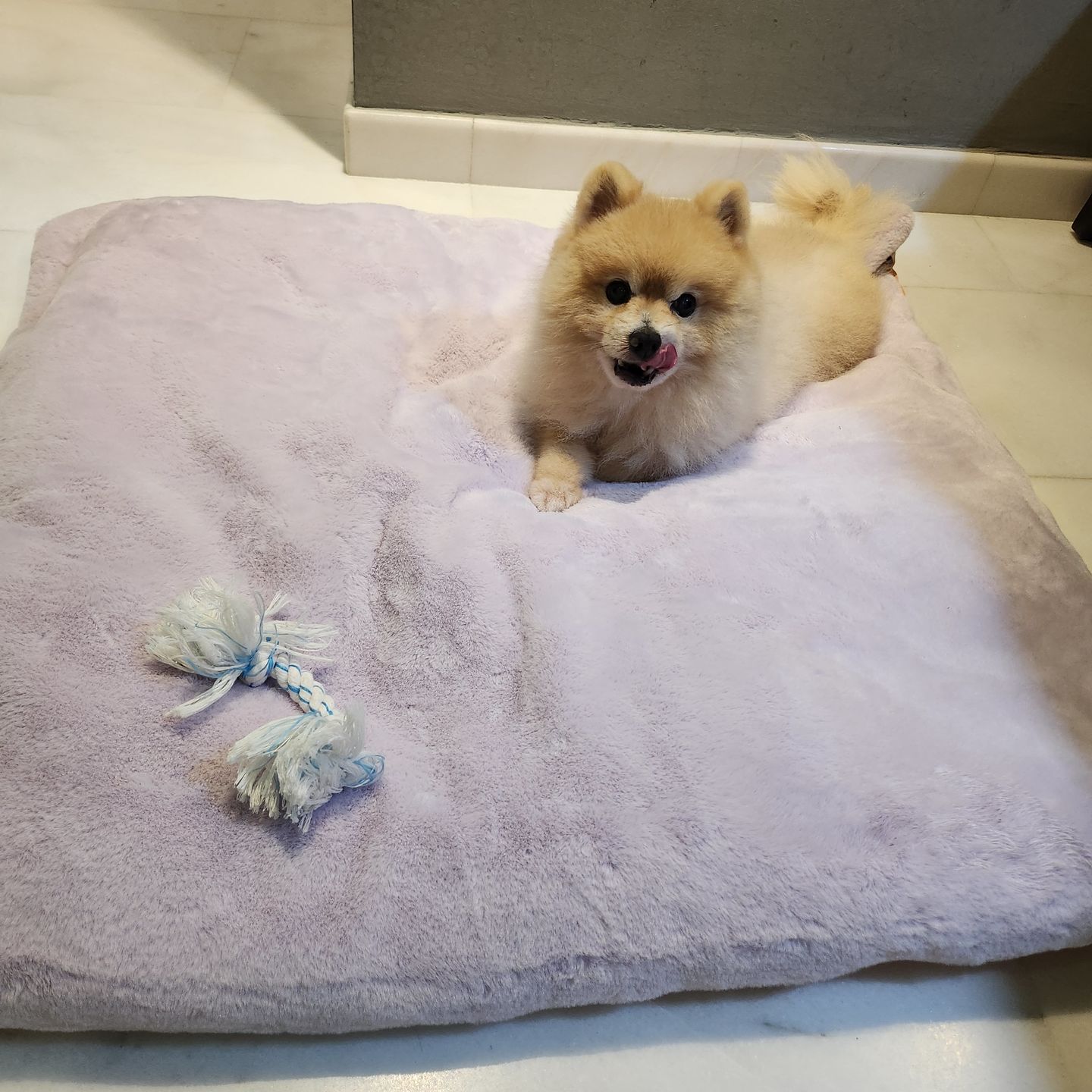 Customer photo review of Sleeping Blanket (𝗡𝗘𝗪 𝗖𝗢𝗟𝗢𝗨𝗥)