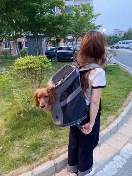 Customer photo review of Capsule Backpack