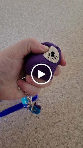 Customer video review of Noomi Squeezibo & Squeezibo Animal Fabric Stress Ball Fidget