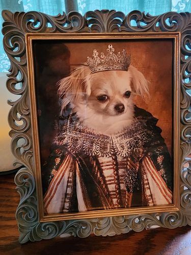 Customer photo review of The Queen - Custom Vintage Pet Portrait