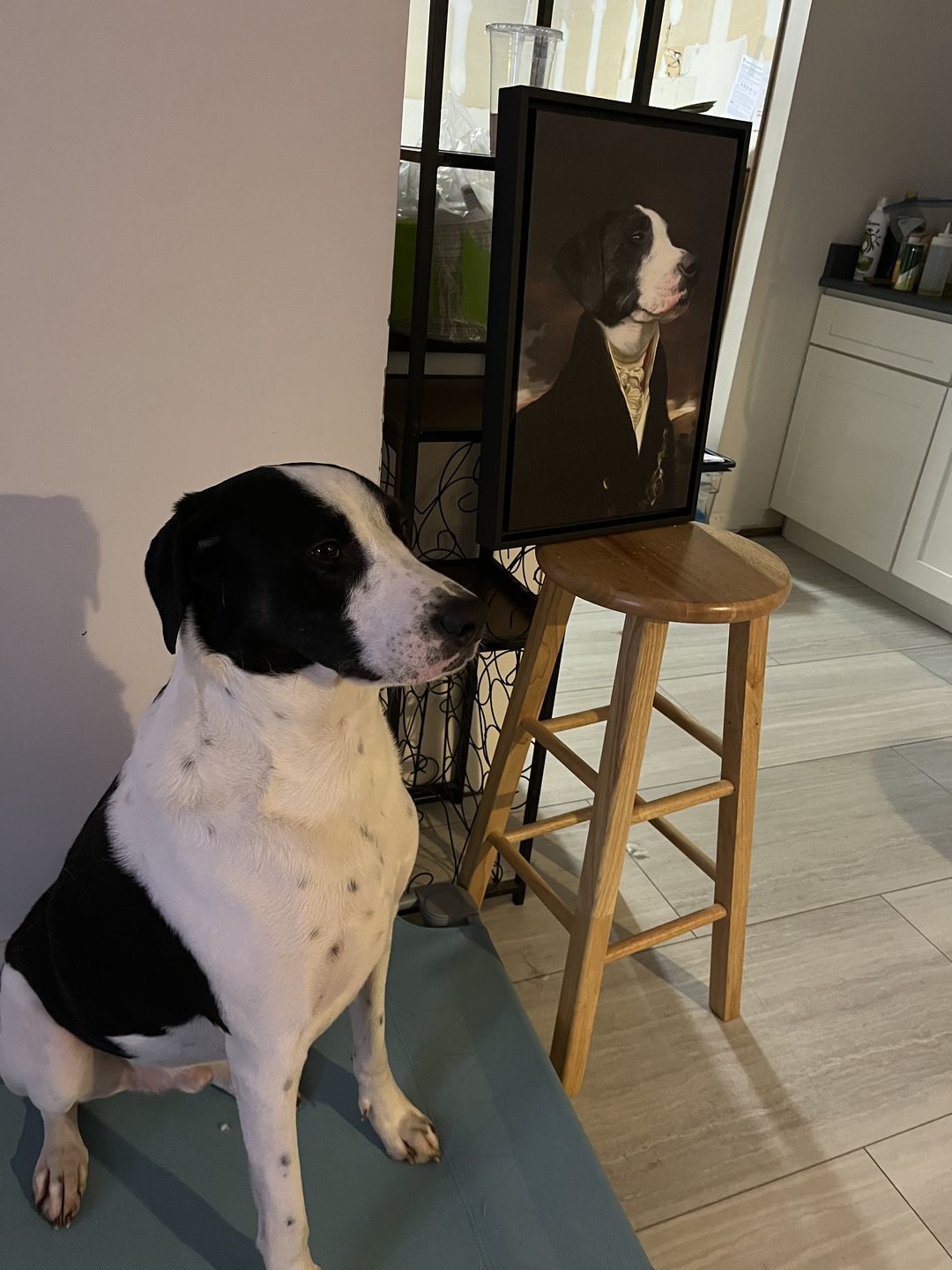 Customer photo review of Le Député
