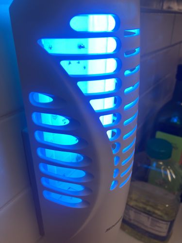 Customer photo review of Shieldeck® BuzzTrap - Plug-In Indoor Insect Smart UV Trap