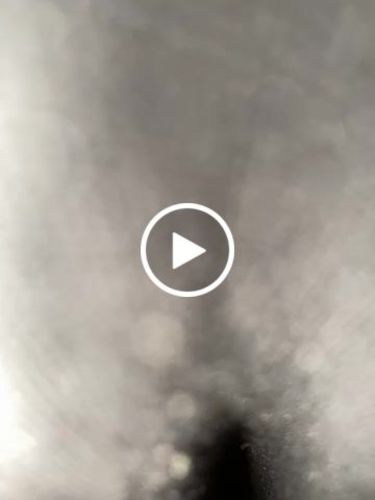 Customer video review of Toxic Unisex Tops - Air Jordan 12 Field Purple