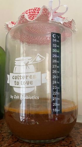 Kombucha from our customers’ kitchens