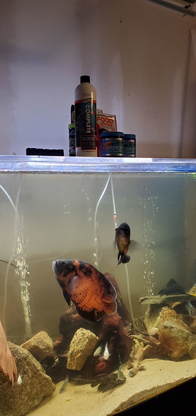 Customer photo review of Fritz COMPLETE Water Conditioner