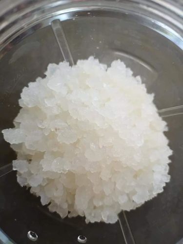 Water kefir, made at home