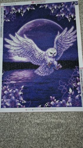 Customer photo review of 5D Diamond Painting Eule