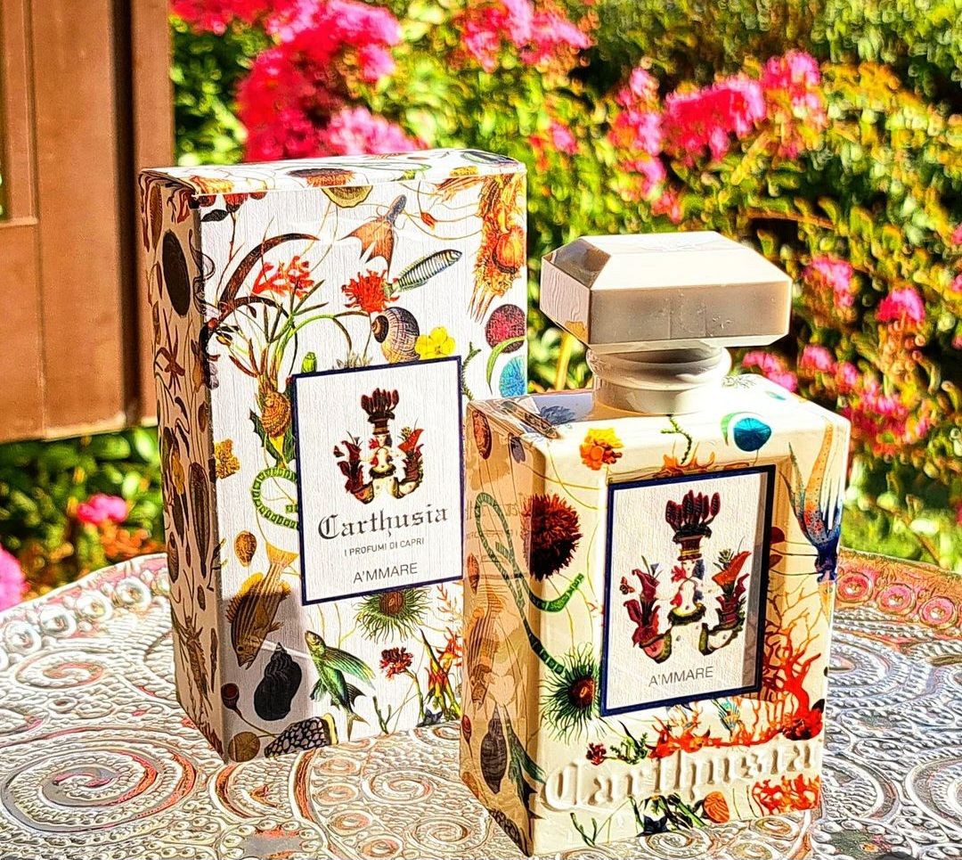 Customer photo review of CARTHUSIA - A'MMARE
