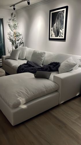 Customer photo review of COZY COLLECTION PLUSH MODULAR 4 PIECE SECTIONAL