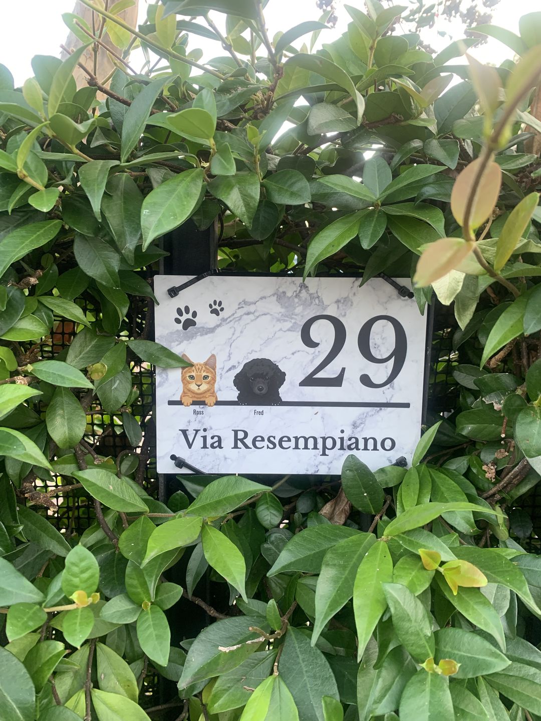 Customer photo review of Numero civico effetto marmo - Targa per porta personalizzata