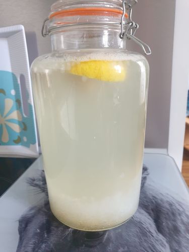 Water kefir, made at home