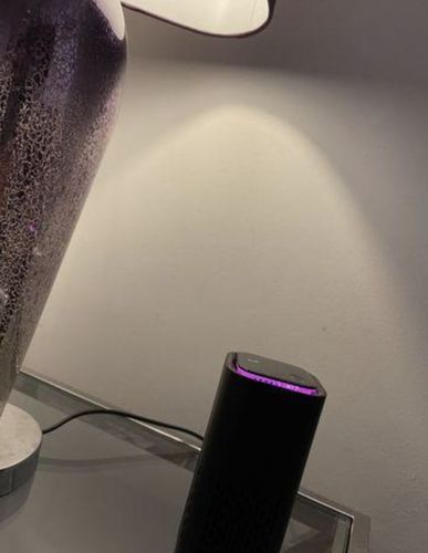 Customer photo review of PurrAir™ - Der Luftreiniger für Hundebesitzer