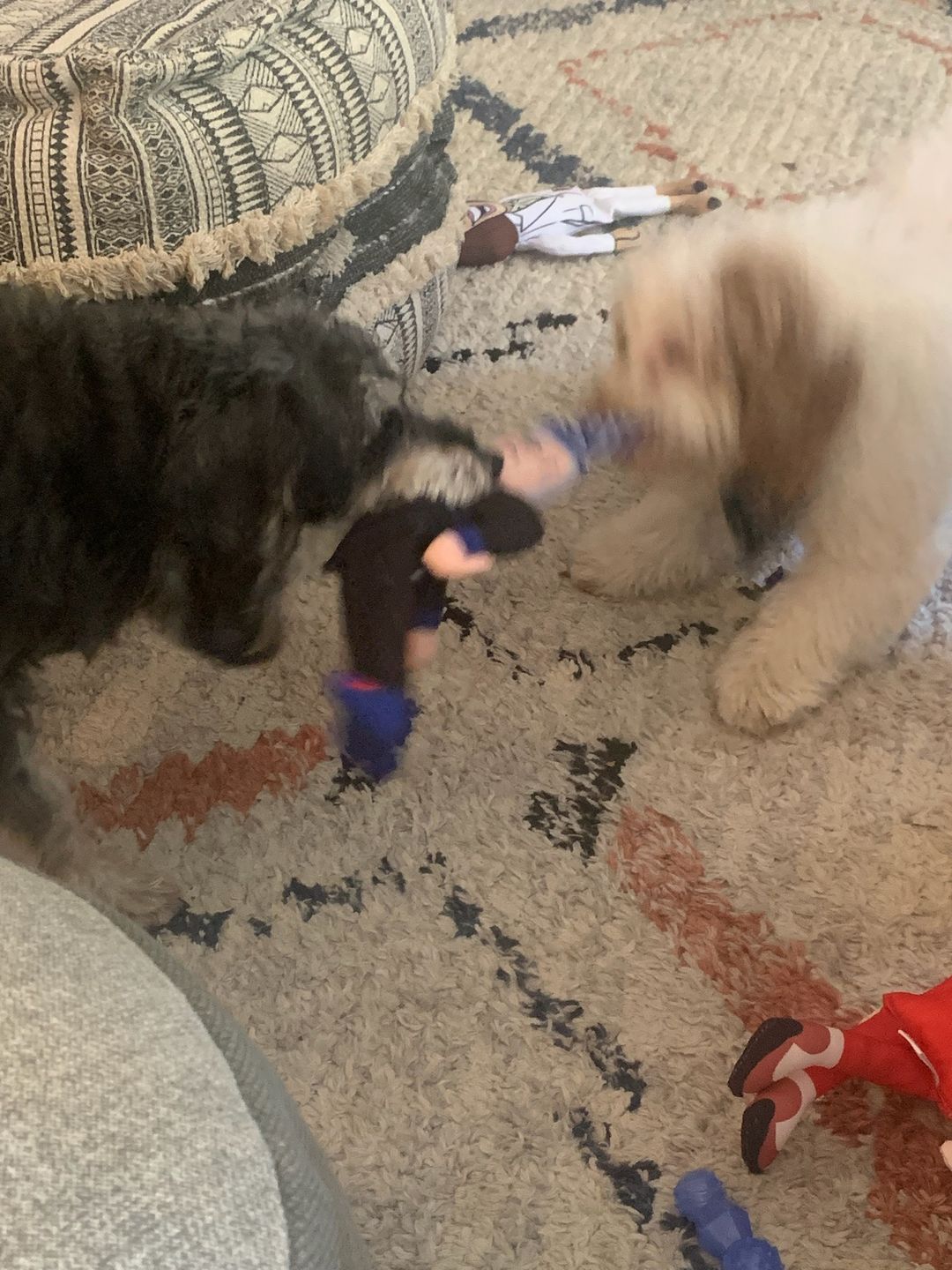 Customer photo review of Joe Biden Kamala Harris & Nancy Pelosi Starter Pack Tough Plush Dog Chew Toys with Squeakers - Official Republican Dogs