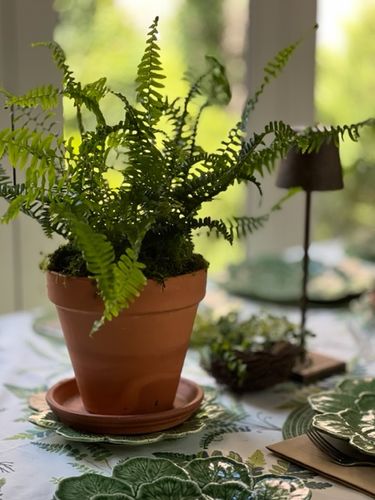 Customer photo review of Florence - Italian Designer Lamp