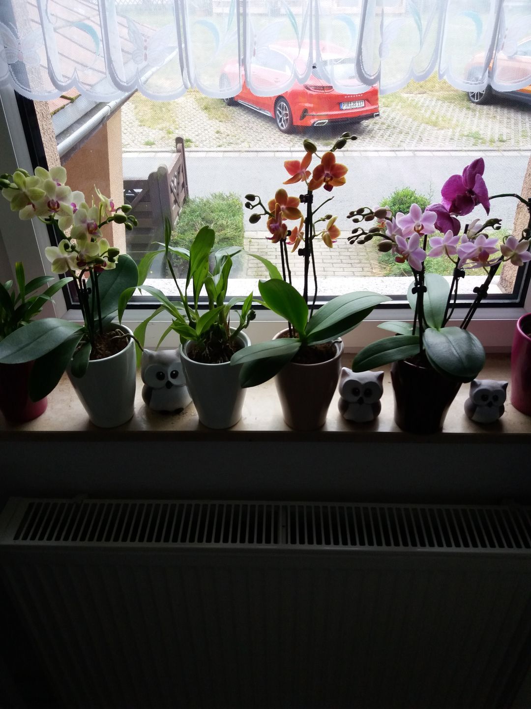 Customer photo review of Table Dance Pia mit rosa Blüten und 3+ Stielen
