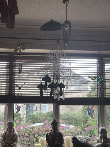 Customer photo review of Mushroom Campanula Art