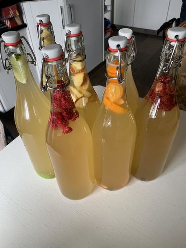 A first kombucha brew