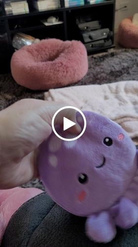 Customer video review of Sandbagger Pals - Weighted Slimline Plush