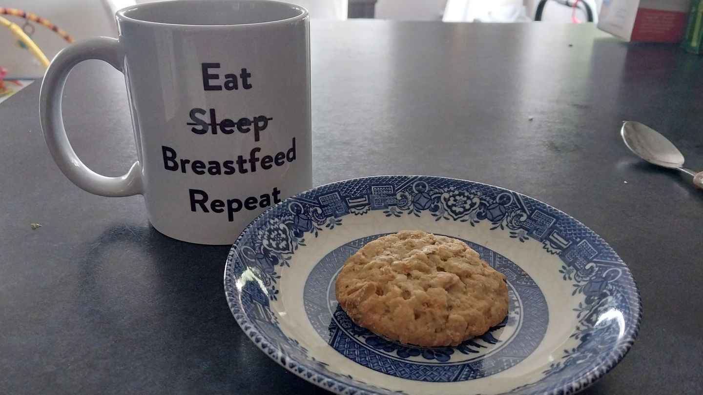 Customer photo review of Biscuit Bundle