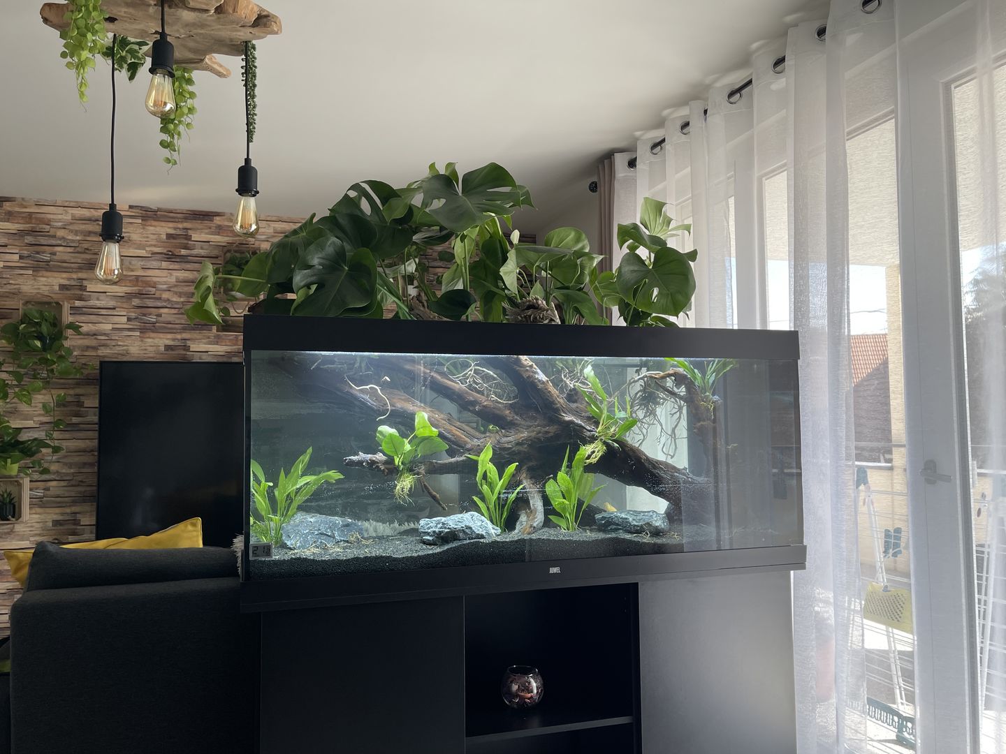 Customer photo review of Aquarium Rio 450 LED Noir Équipé JUWEL - 450L