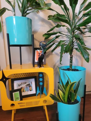 Customer photo review of Atomic Space Cat