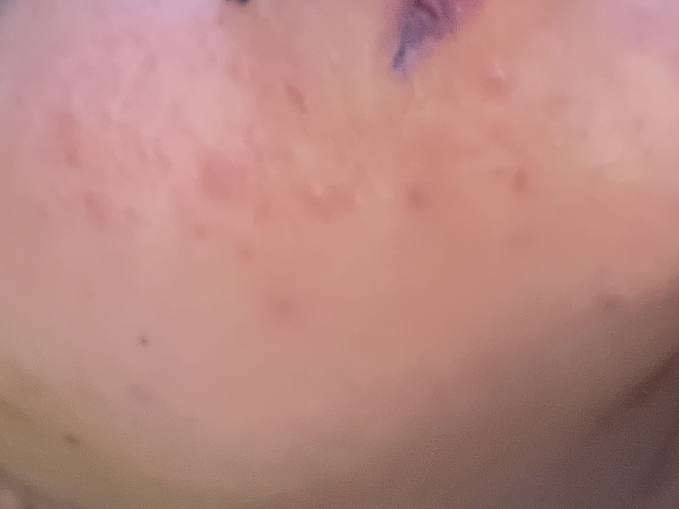 Customer photo review of SHE[A] RAW