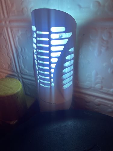 Customer photo review of BuzzTrap Refills (8-Pack) Sticky Pads