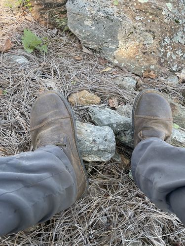 Customer photo review of Bruin