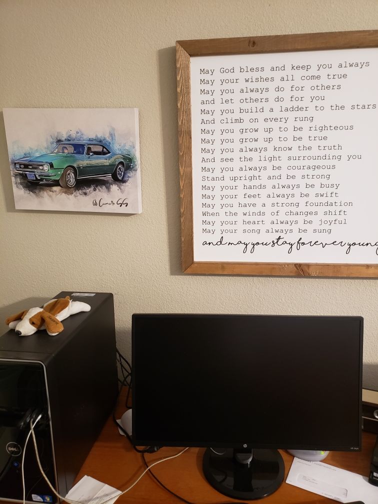 Customer photo review of Personalized Car photo Painting